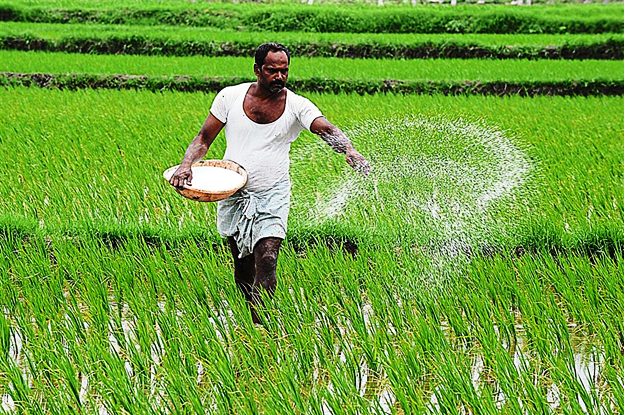 Use Fertilizer